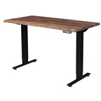 Quick Ship Adona Standing Desk